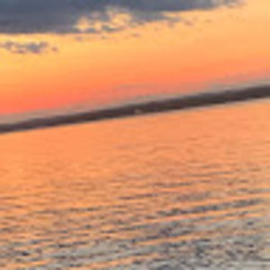 Meet your Posher, Sidney